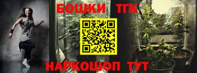 индика Ливны