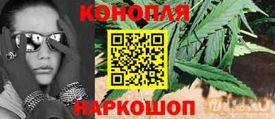 индика Ливны
