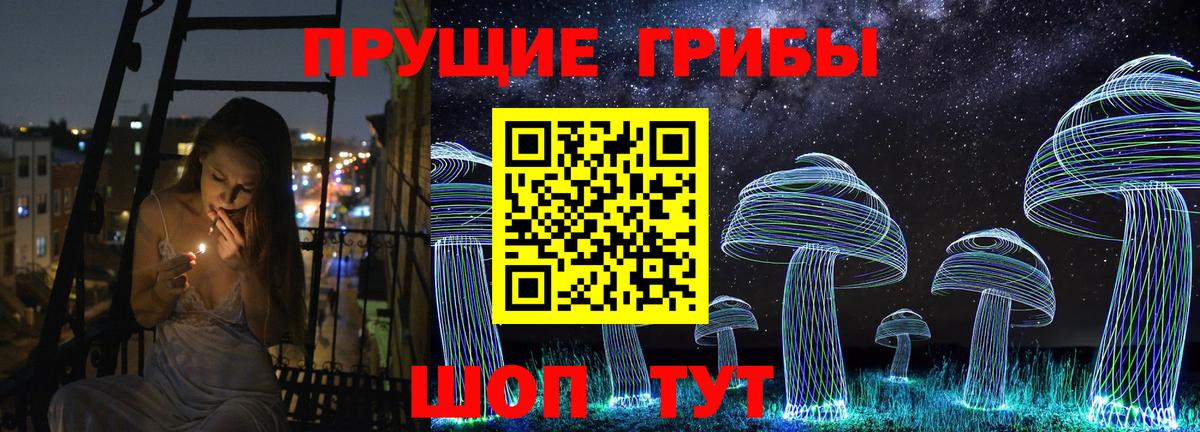 Галлюциногенные грибы Cubensis  Вход с VPN  Галлюциногенные грибы Cubensis  Гусь-Хрустальный 